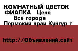 КОМНАТНЫЙ ЦВЕТОК -ФИАЛКА › Цена ­ 1 500 - Все города  »    . Пермский край,Кунгур г.